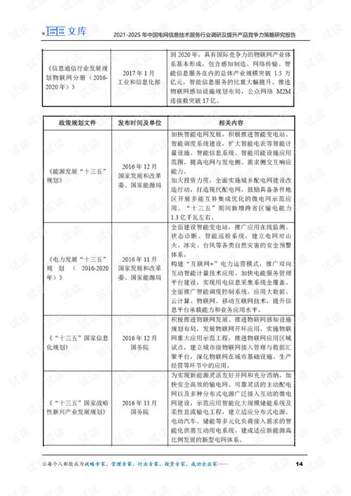 2021-2025年中國電網(wǎng)信息技術(shù)服務(wù)行業(yè)調(diào)研及產(chǎn)品競爭力提升策略